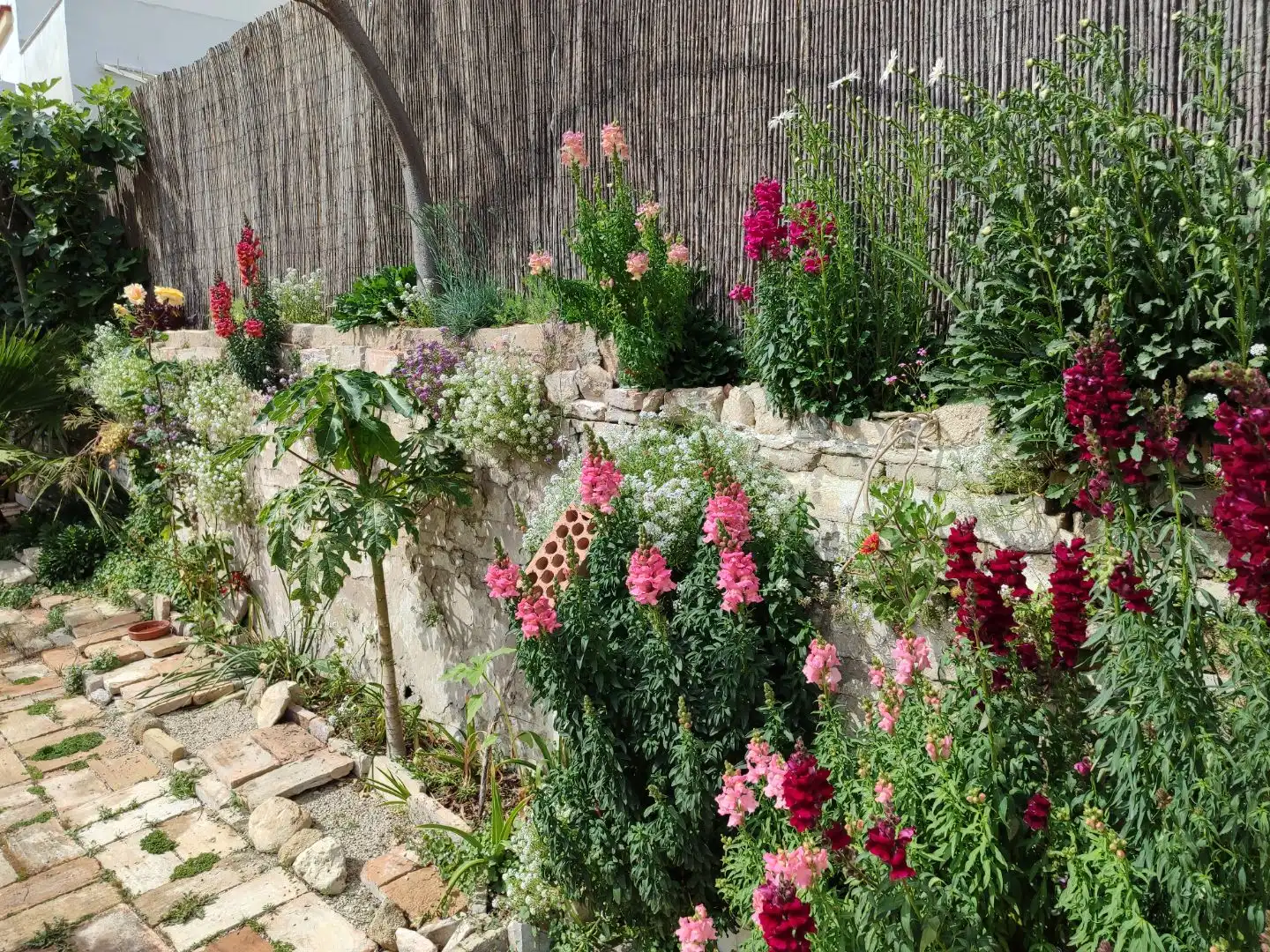 Jardí de Casa o xalet en venda en Jerez de la Frontera amb Aire condicionat, Calefacció i Jardí privat