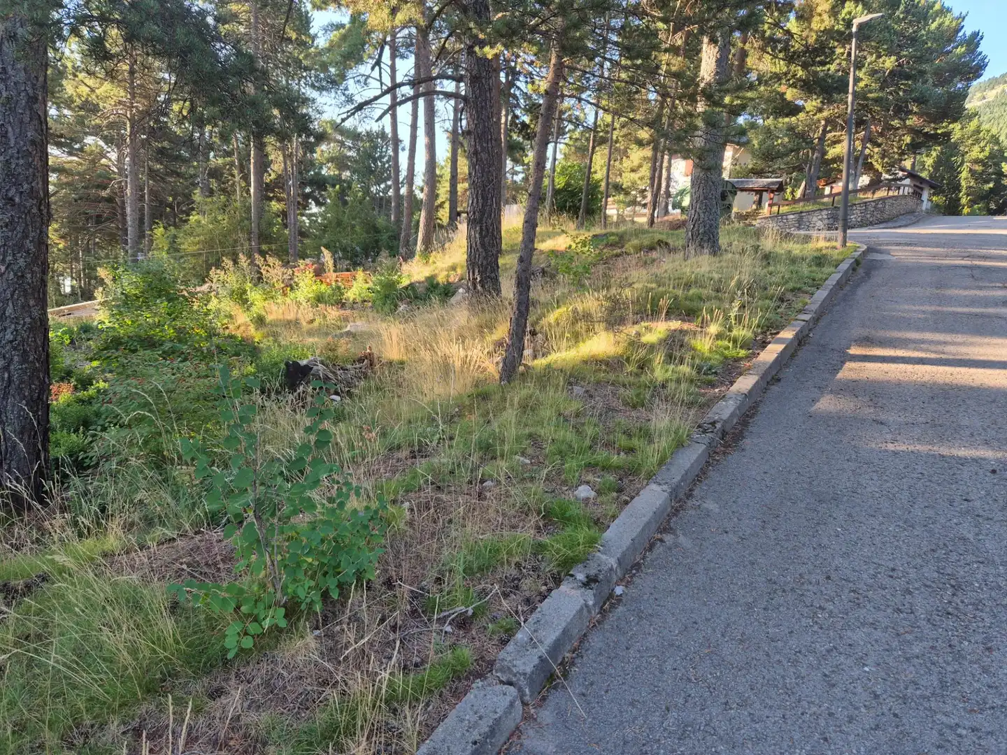Grundstücke und Bauplätze zum Verkauf in Carrer Fornet, imagen 5