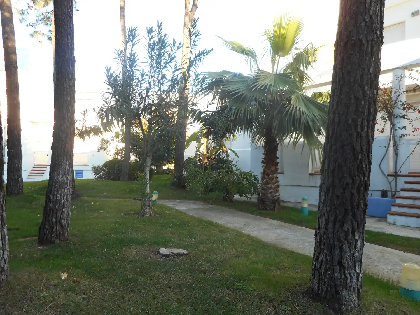 Jardí de Casa o xalet en venda en Islantilla amb Terrassa, Traster i Rentadora