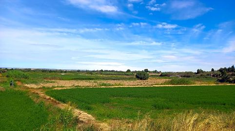 Photo 2 of Land for sale in Soto Peña Ortiz, 96, Peñaflor, Zaragoza Capital