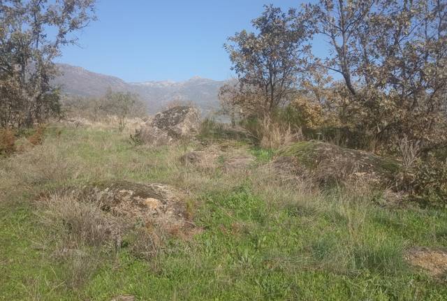 Terreno en Venta en Viandar de la Vera