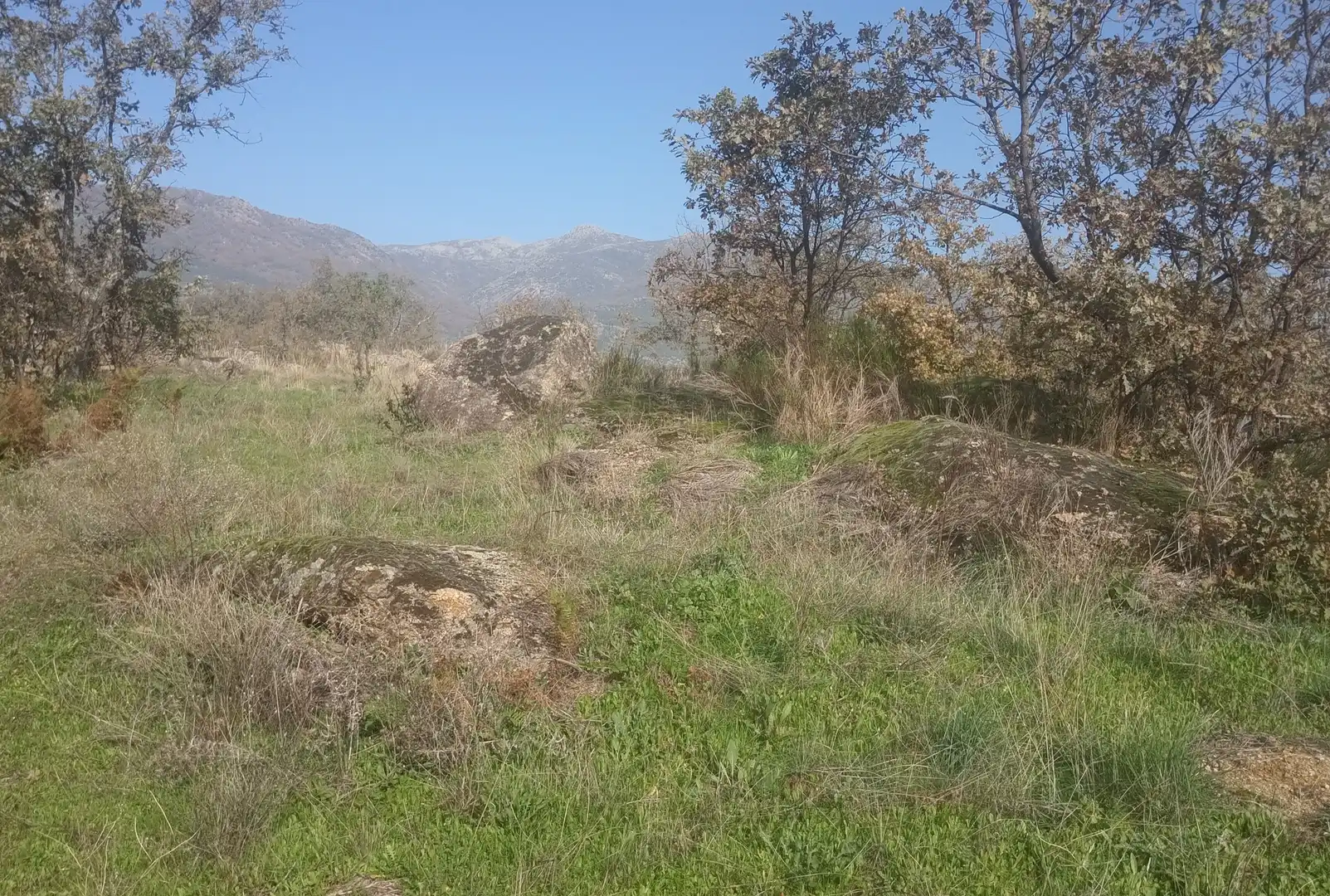 Terreni e lotti in vendita a Viandar de la Vera