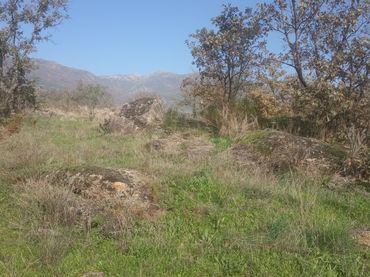 Terreno rústico en venta en Viandar de la Vera