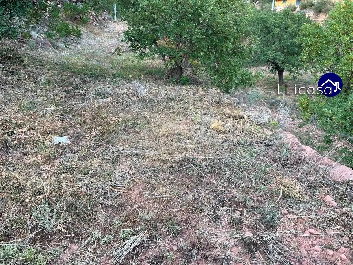 Terreny residencial en venda a Olocau, imagen 16