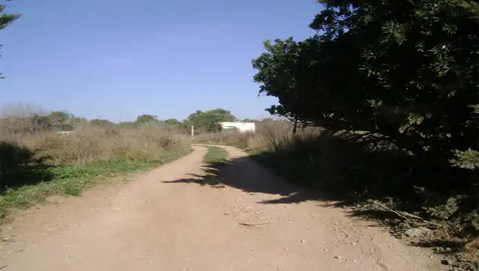 Rural land for sale in Poligono, imagen 7