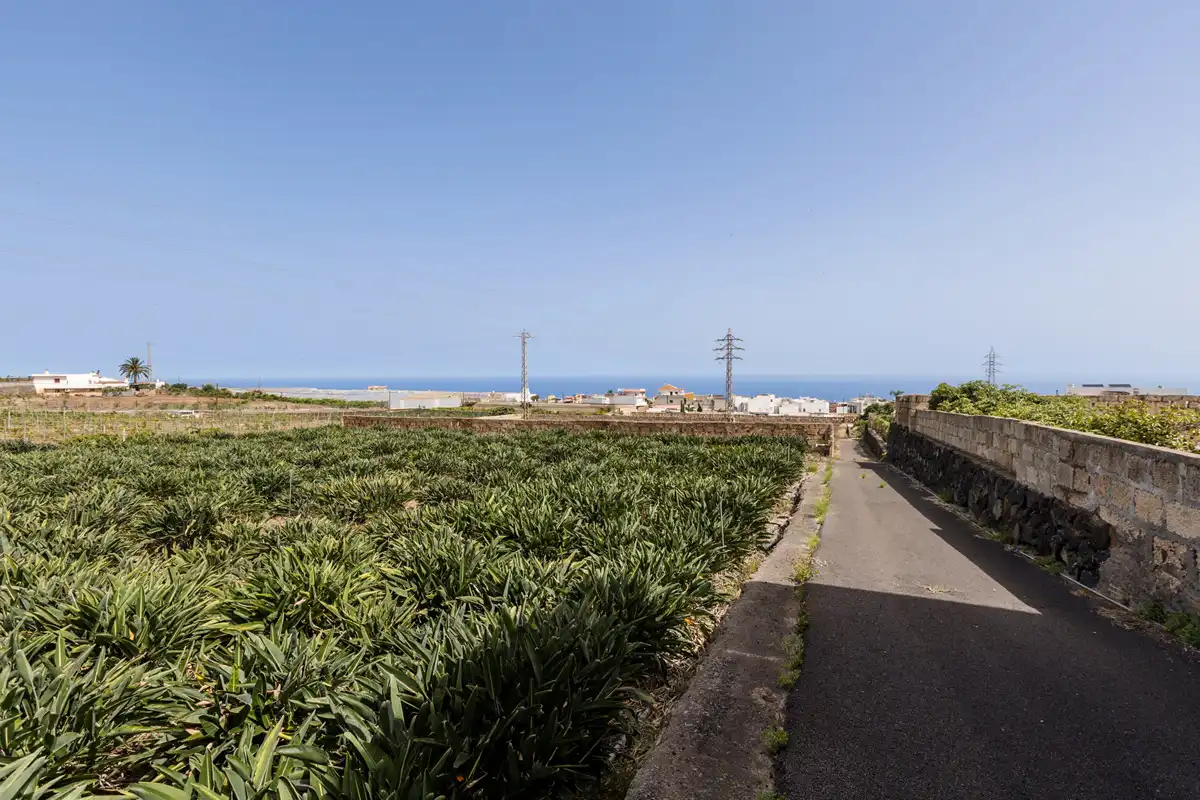 Exterior view of Country homes for sale in San Cristóbal de la Laguna  with Private garden, Terrace and Balcony