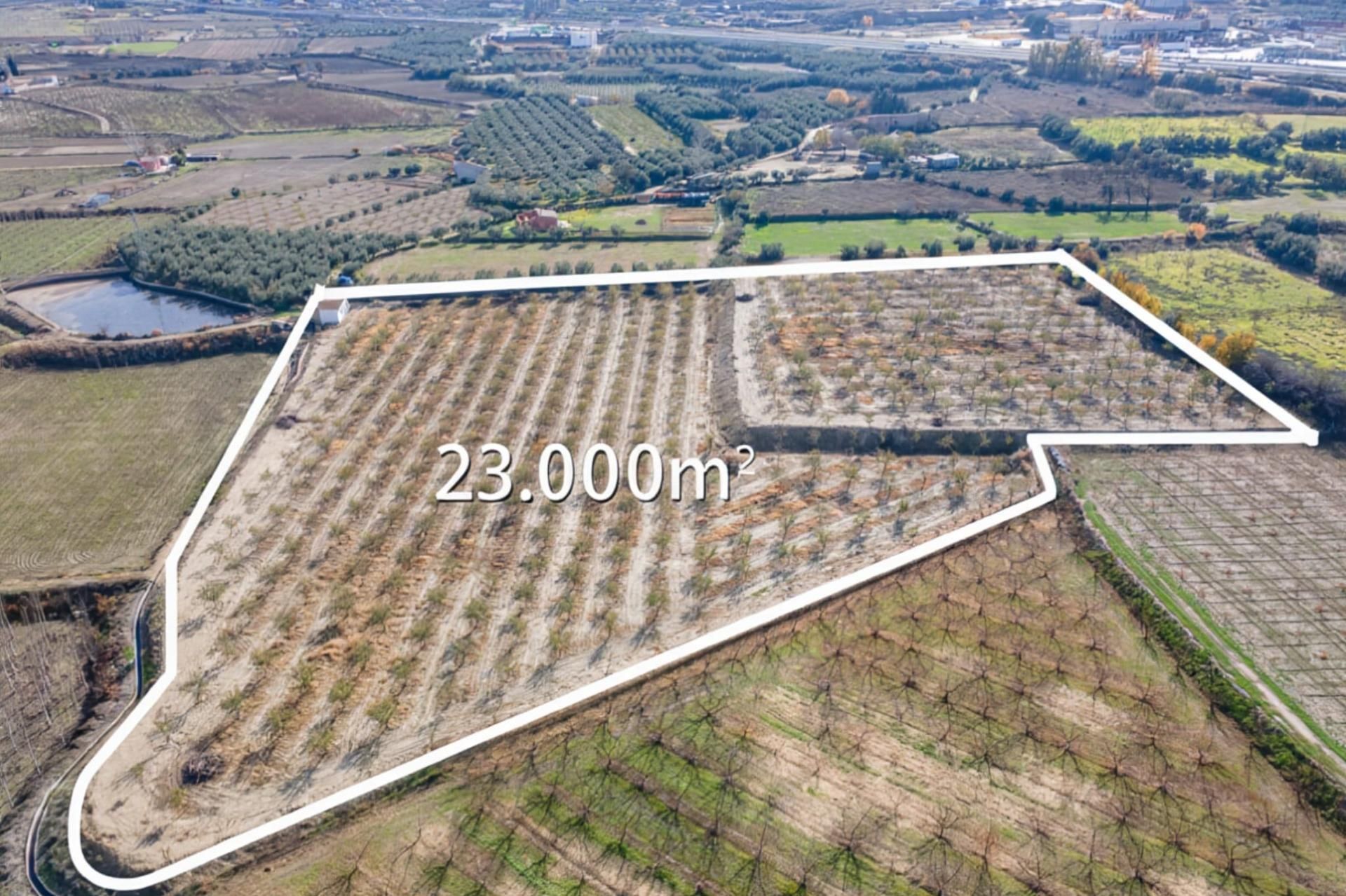 Land for sale in Guadix