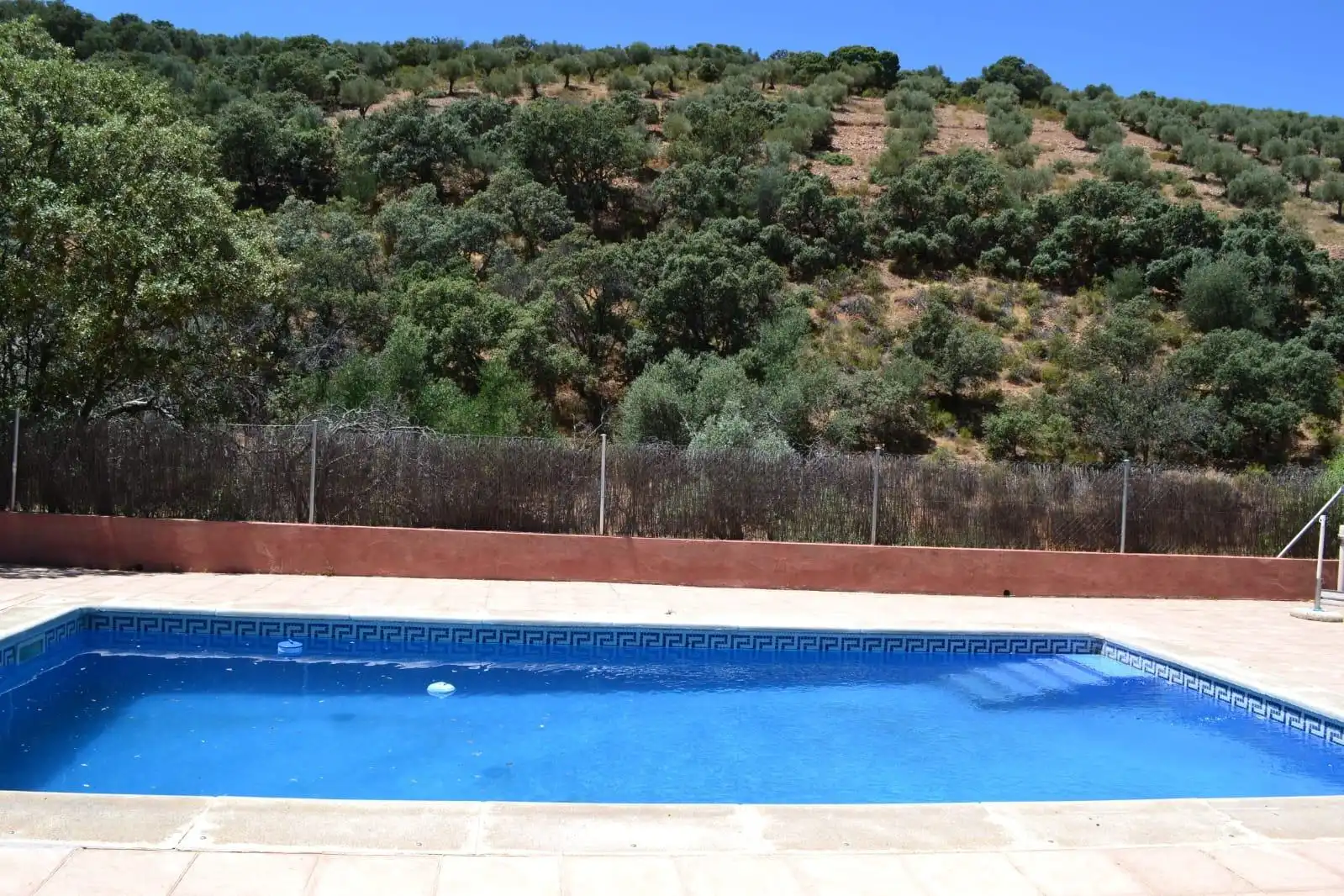 Finca rústica en venda a Belvís de la Jara