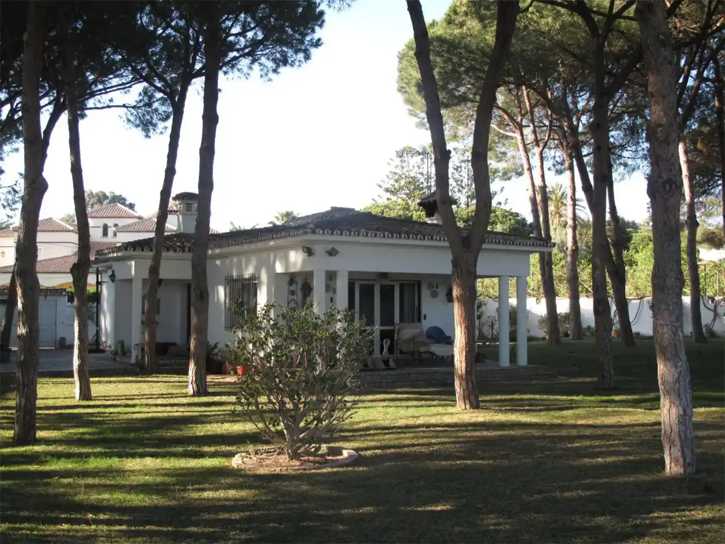 Jardí de Casa o xalet en venda en Marbella amb Piscina i Balcó