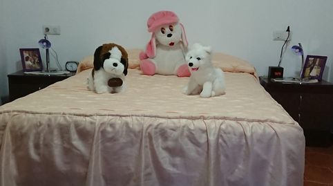 Foto 5 von Haus oder Chalet zum Verkauf in Vega de Valdetronco, Valladolid