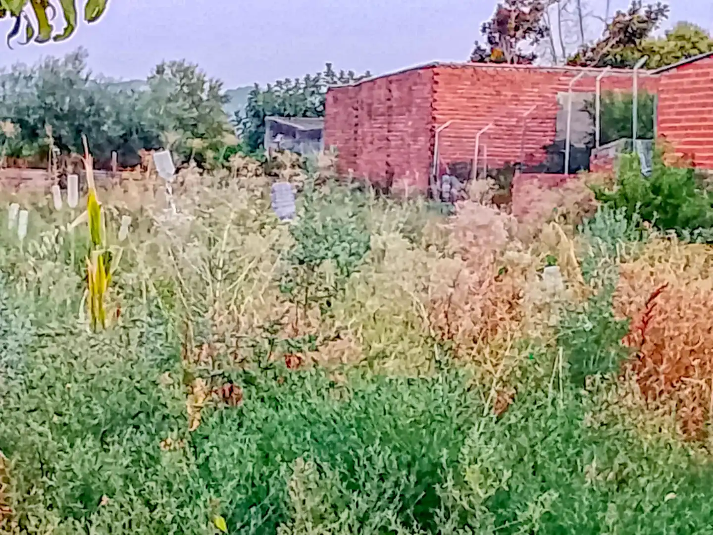 Terreno residenziale in vendita a Ur La Morena 8, imagen 9