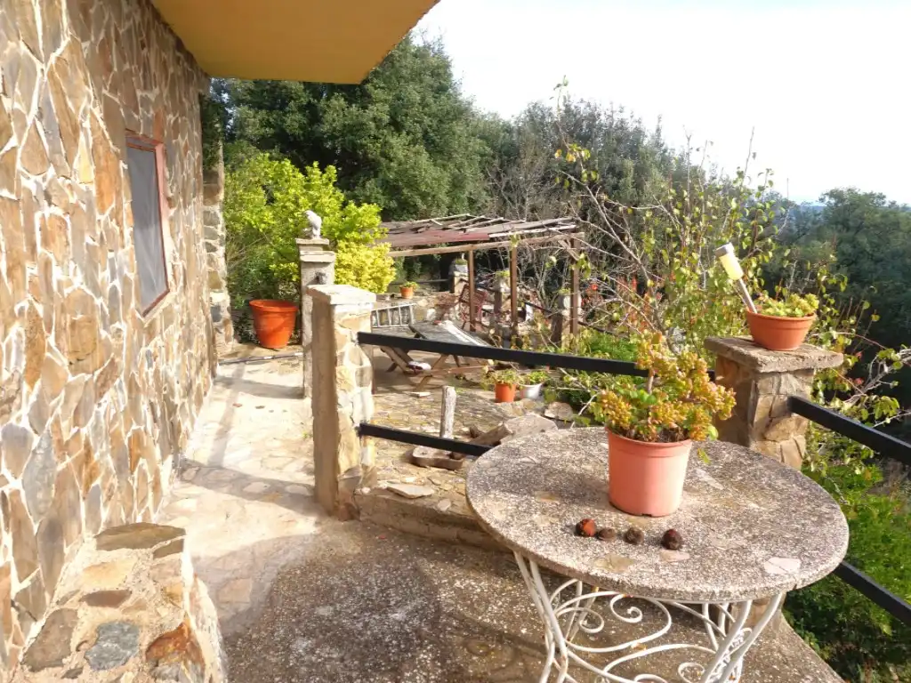 Casa o xalet en venda a Paseo Hortsavinya, Pinemar