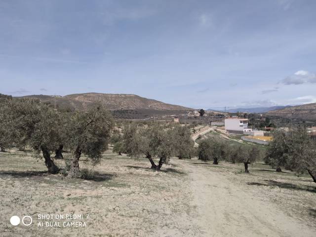 Terreno residencial en Venta en C/ ROSA REGAS en La Malahá