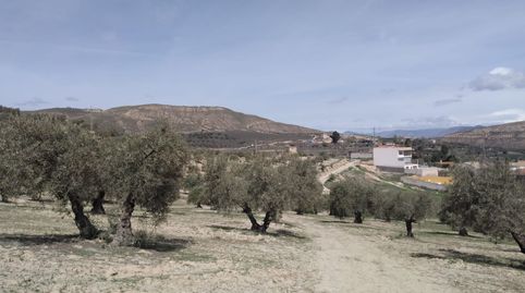 Solar en venta en La Malaha.