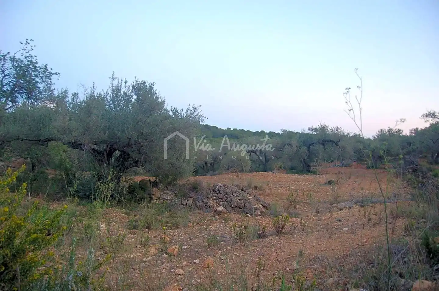 Terreno rustico in vendita a Suis, imagen 14