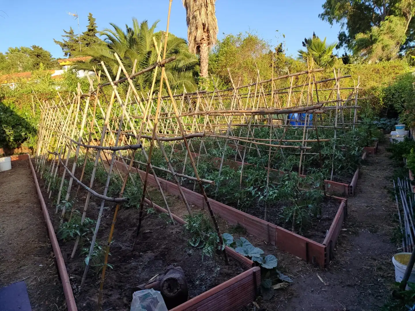 Jardí de Casa o xalet en venda en Algeciras