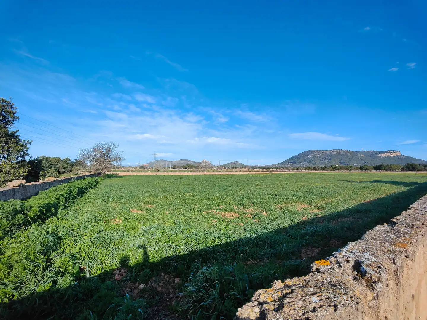 Terreno en venta en Llucmajor