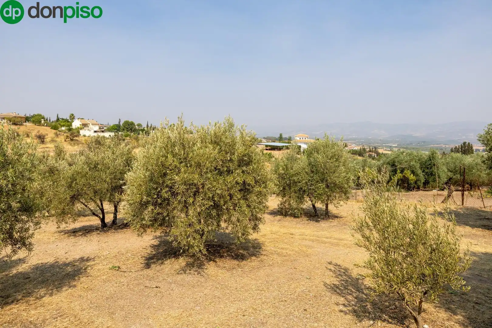 Finca rústica en venda a Calle de Moraleda a Cómpeta, Moraleda de Zafayona