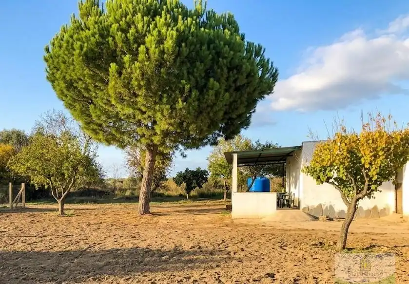 Finca rústica en venta en Bollullos Par del Condado con Alarma