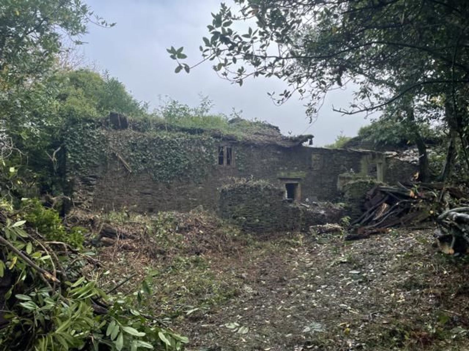 Exterior view of Country house for sale in Ortigueira  with Private garden