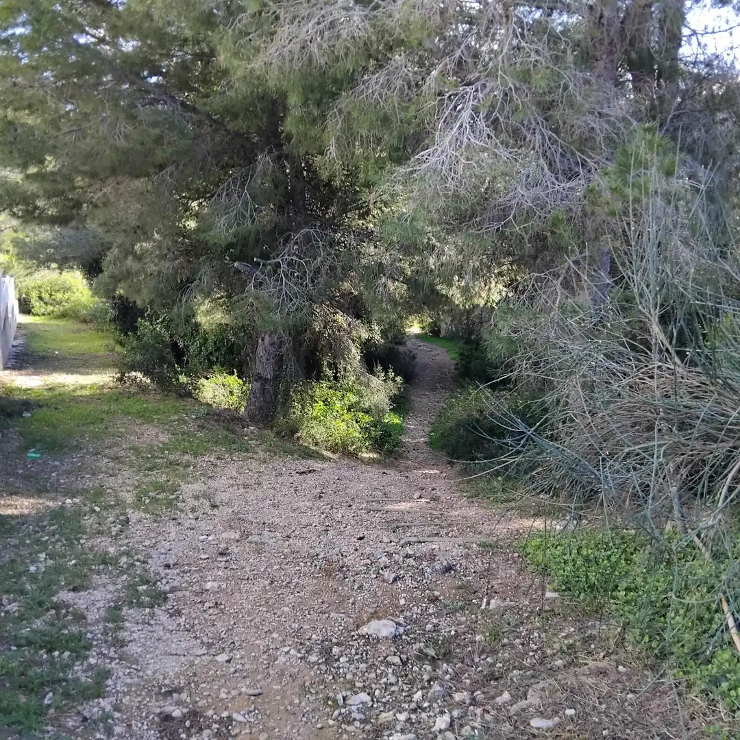 Ático en venta en L'Ametlla de Mar  con Jardín privado, Terraza y Amueblado