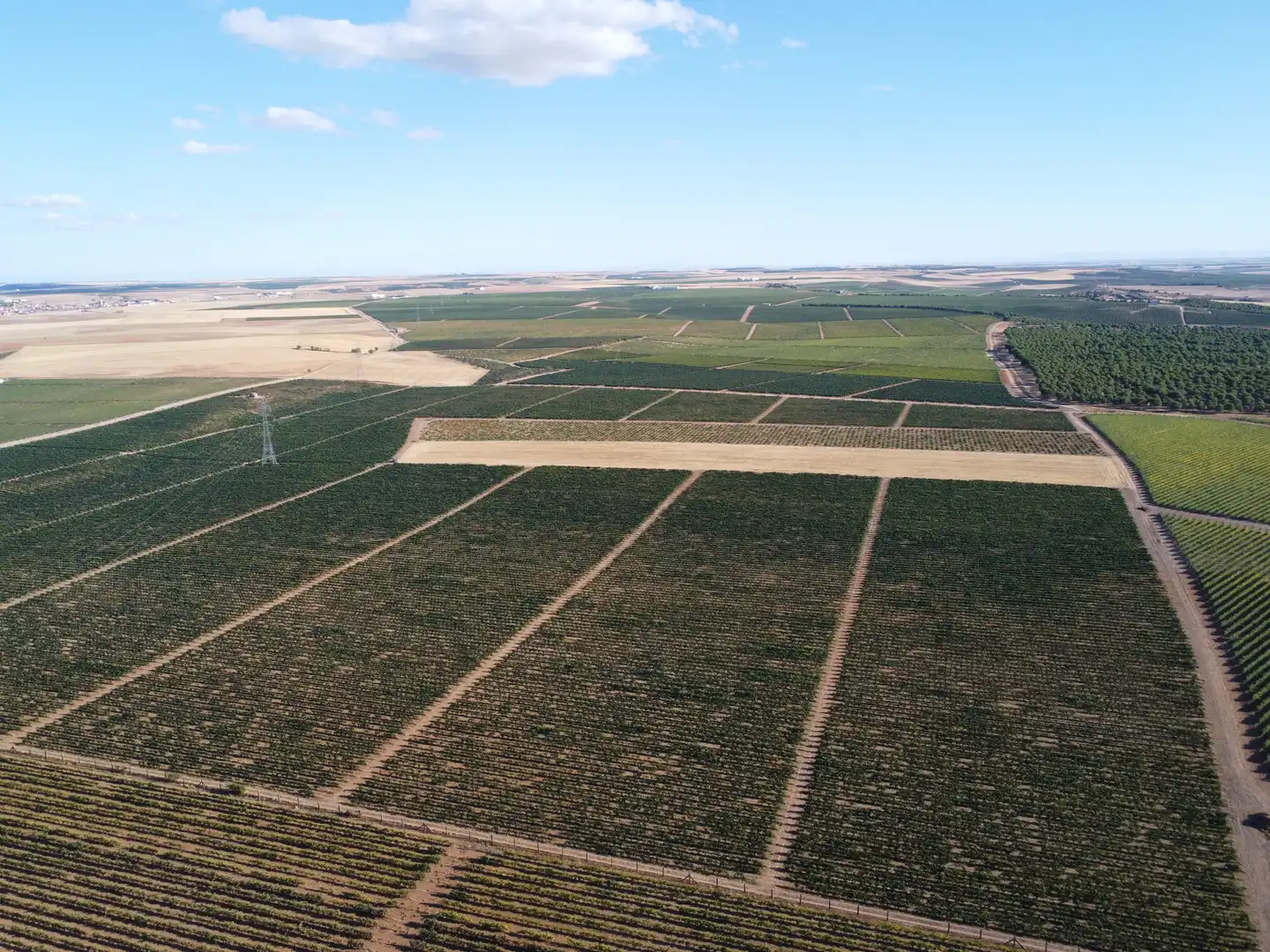 Terreno rustico in vendita a Rueda, imagen 6