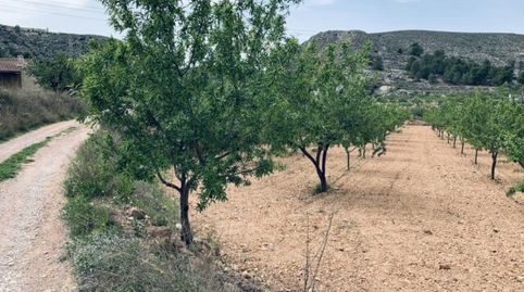 Hermoso terreno en venta en La Romana, immagine 2