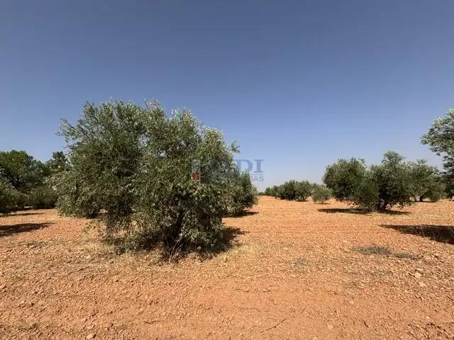 Maison rustique à vendre à Valdepeñas, imagen 41