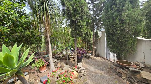 Foto 3 de Finca rústica en venta en N/a, -1, Torrox Pueblo, Torrox