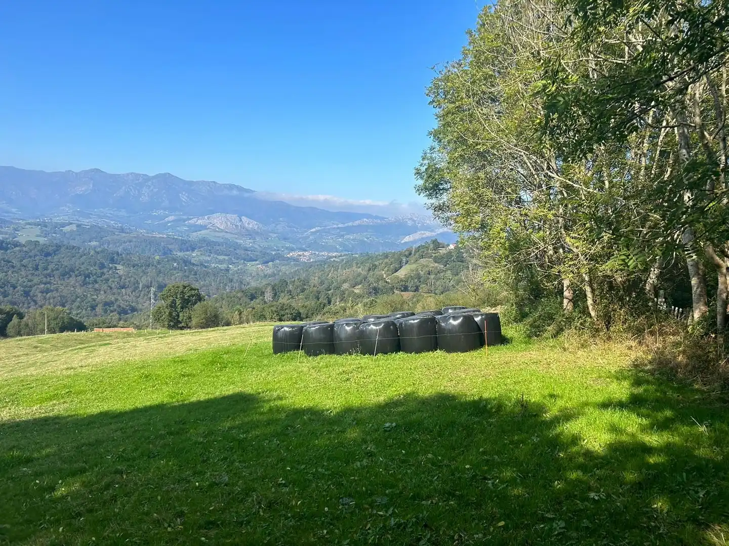 Terrenos y solares en venta en Parres, imagen 17