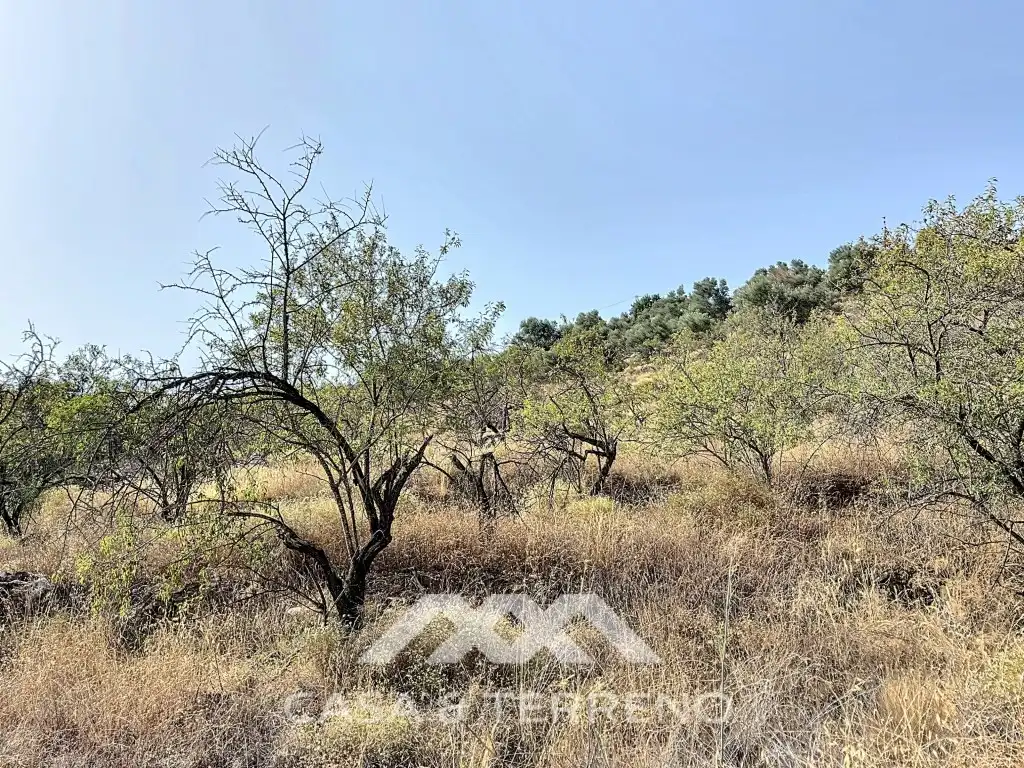 Casa o chalet en venta en Arenas