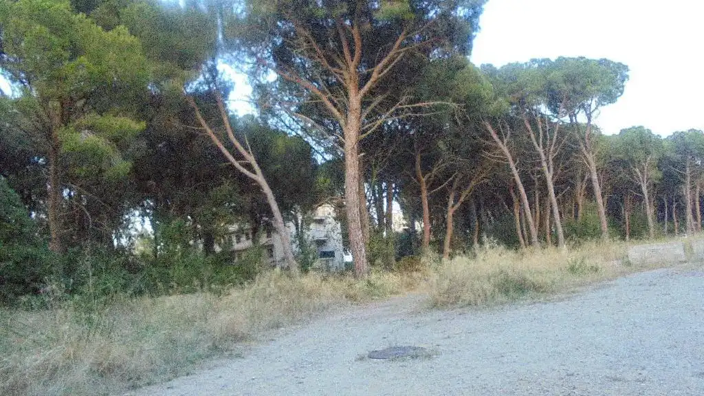 Terreny residencial en venda a Carrer Pinedes, imagen 7