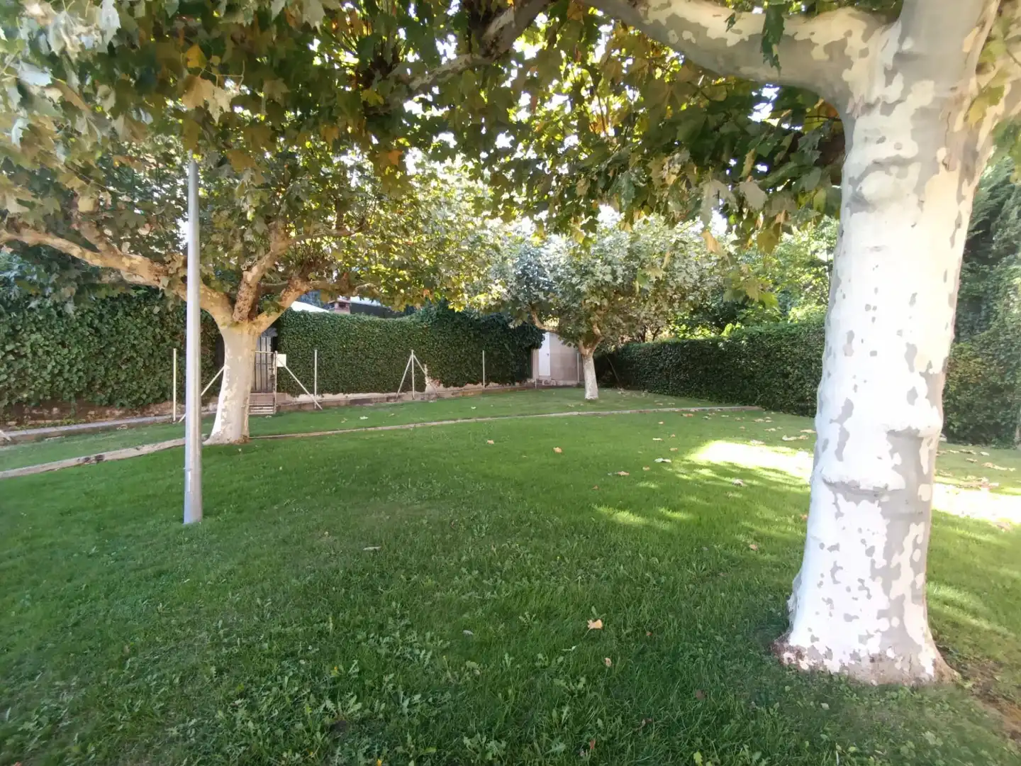 Jardín de Casa adosada en venta en El Molar (Madrid) con Calefacción, Jardín privado y Terraza