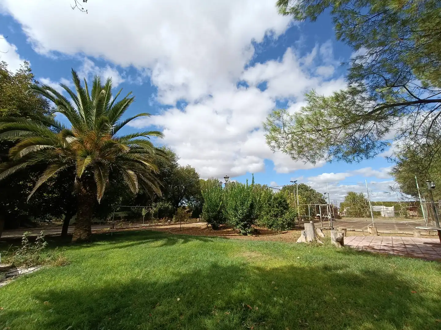 Jardín de Casa o chalet en venta en Ciudad Real con Aire acondicionado, Jardín privado y Piscina