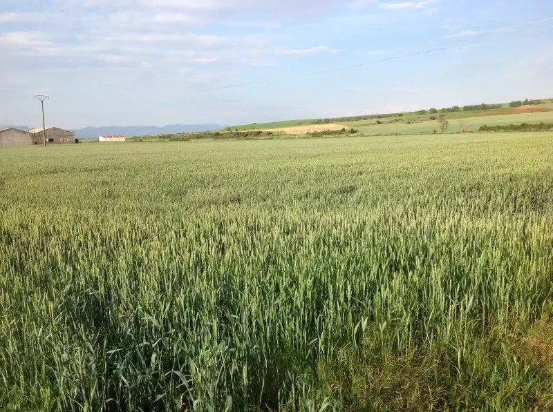 Lands and plots for sale in Santo Domingo de la Calzada, imagen 5