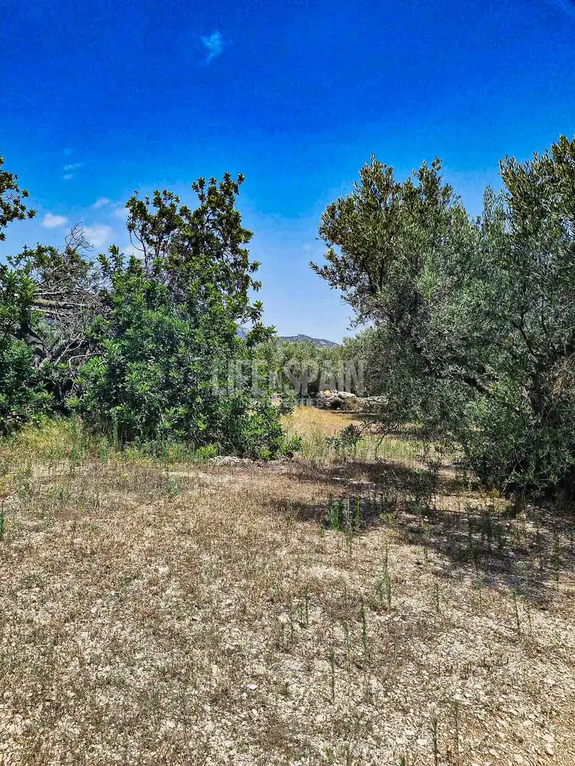 Maison rustique à vendre à Roquetes, imagen 11