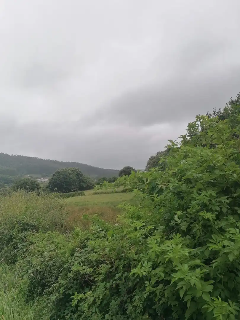 Finca rústica en venda en Cedeira amb Jardí privat i Traster