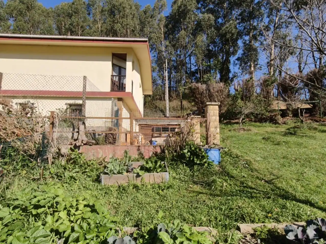 Jardí de Casa o xalet en venda en Muskiz amb Jardí privat i Terrassa