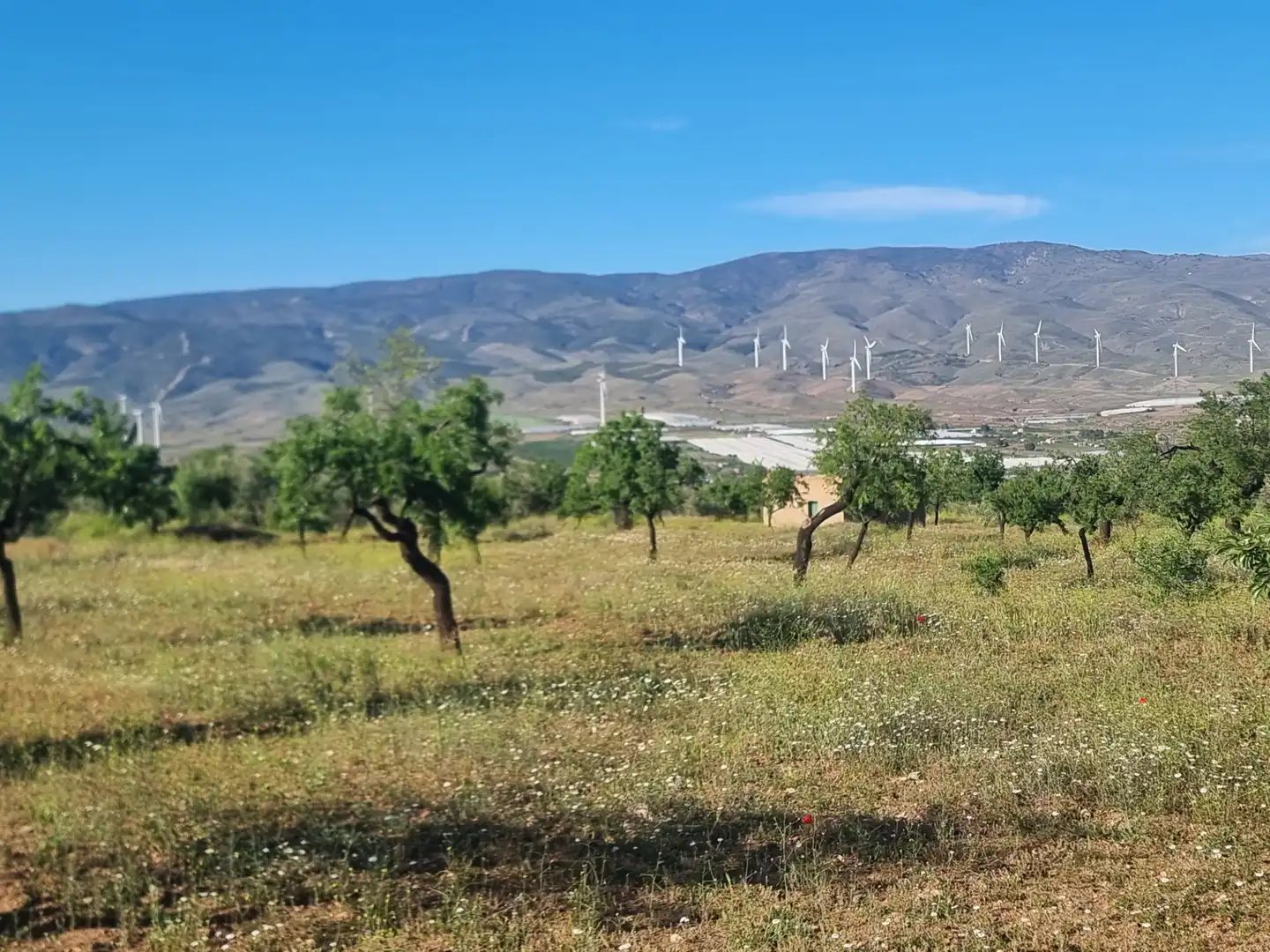 Terreno en venta en Abrucena