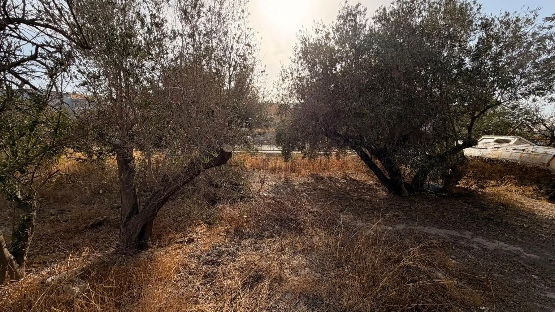 Terreny rústic en venda a Huércal de Almería 5, imagen 4