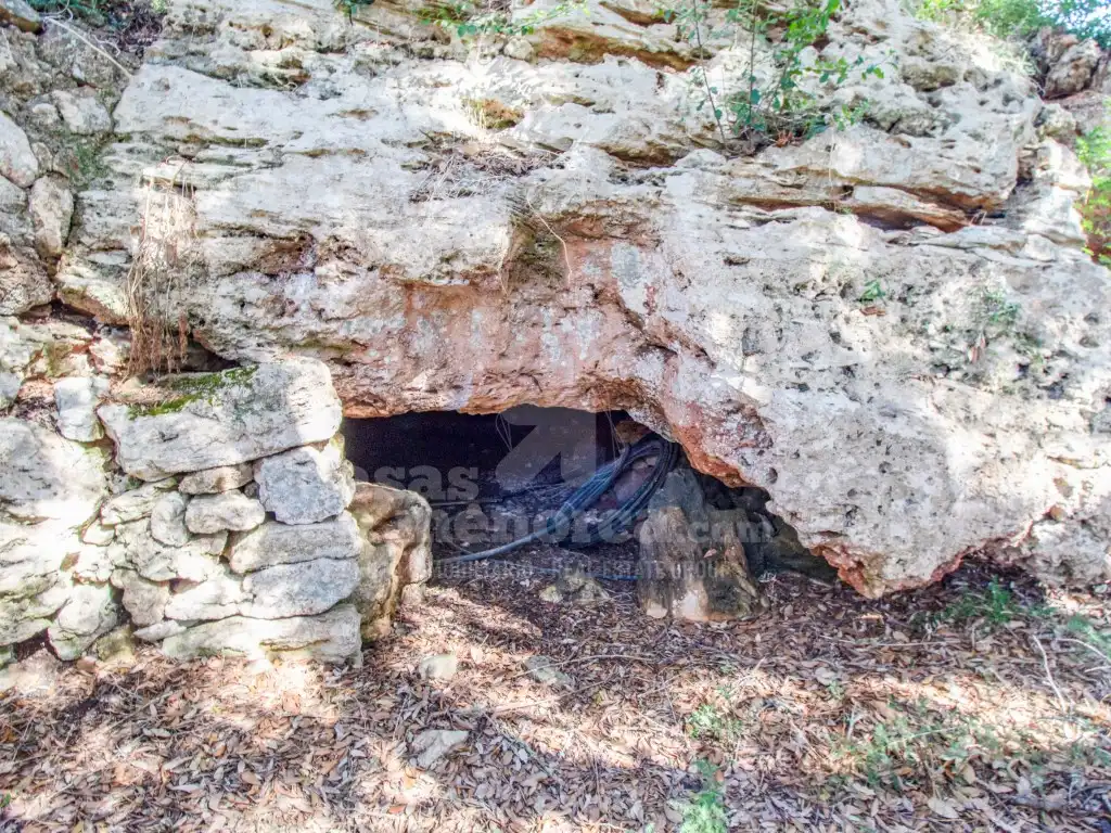 Finca rústica en venda en Es Mercadal amb Jardí privat