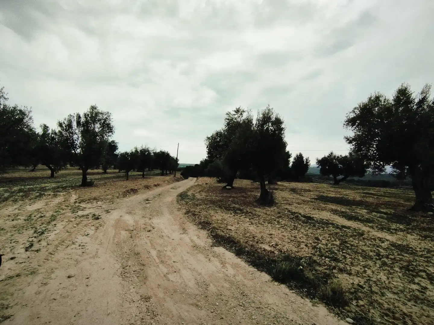 Terreni e lotti in vendita a La Fresneda, imagen 6