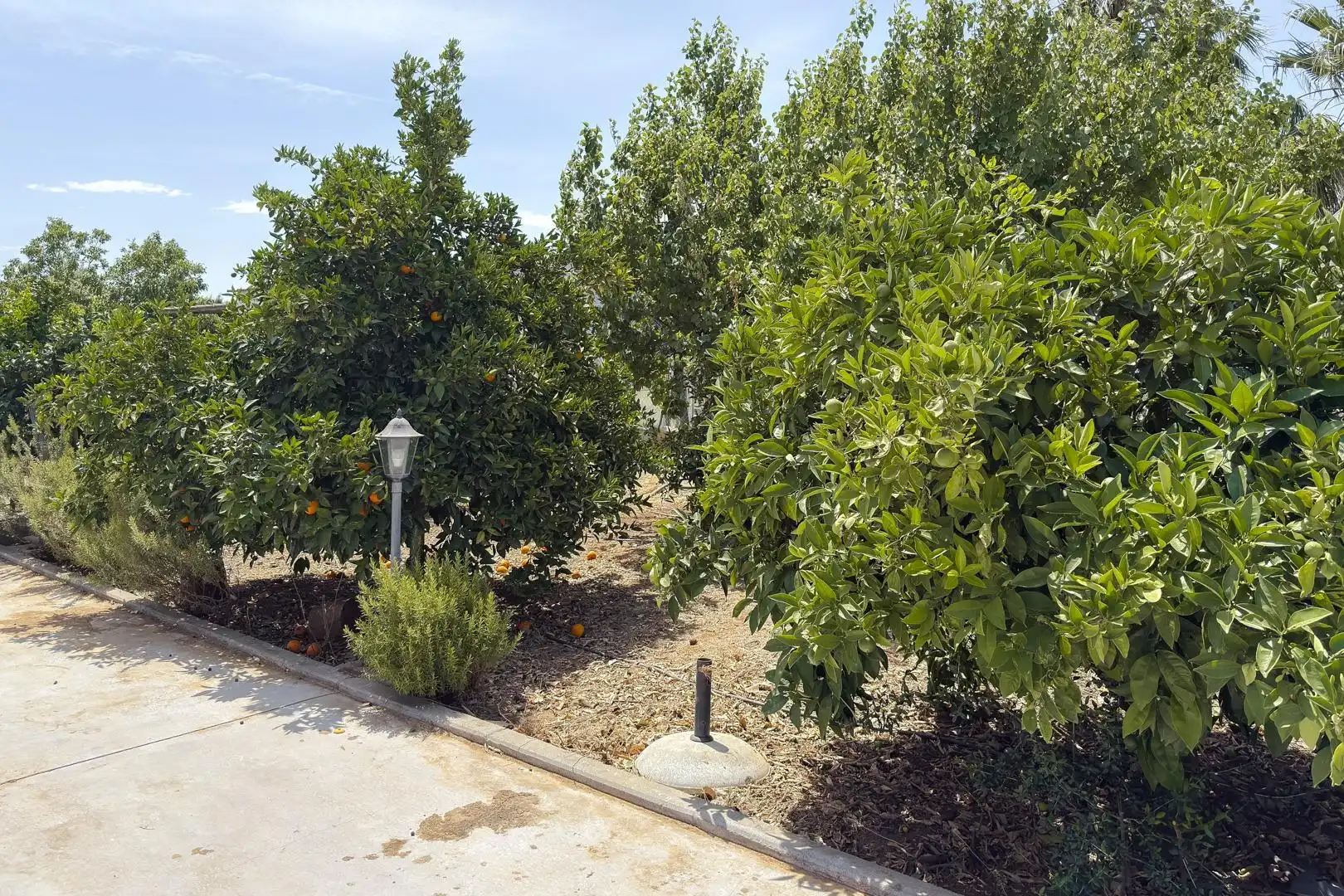 Wohnbaugrundstück zum Verkauf in El Retiro - Parque Atlántico - Ronda este, imagen 66
