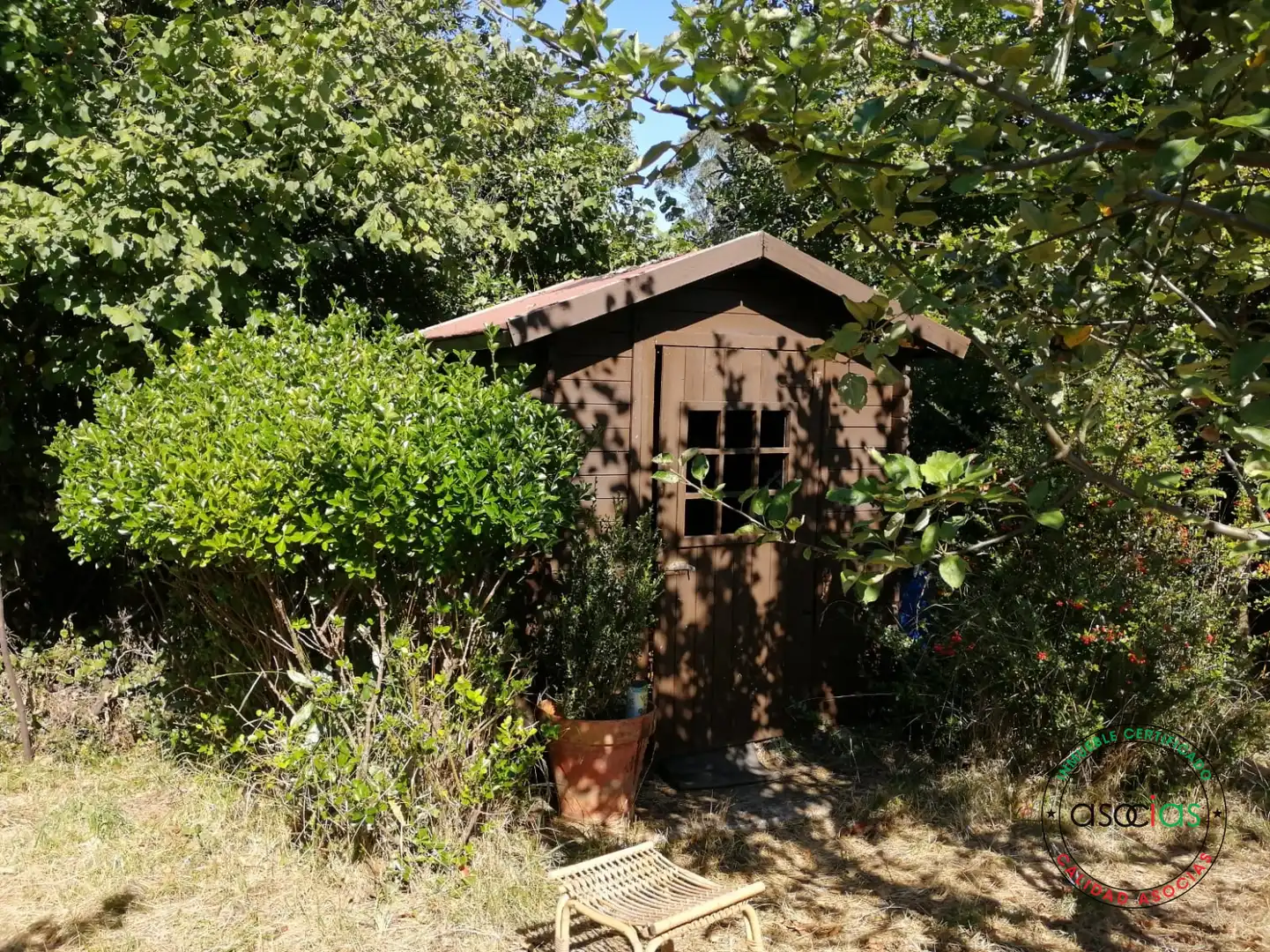 Terreno rustico in vendita a Lugar el Fonduxu, imagen 5