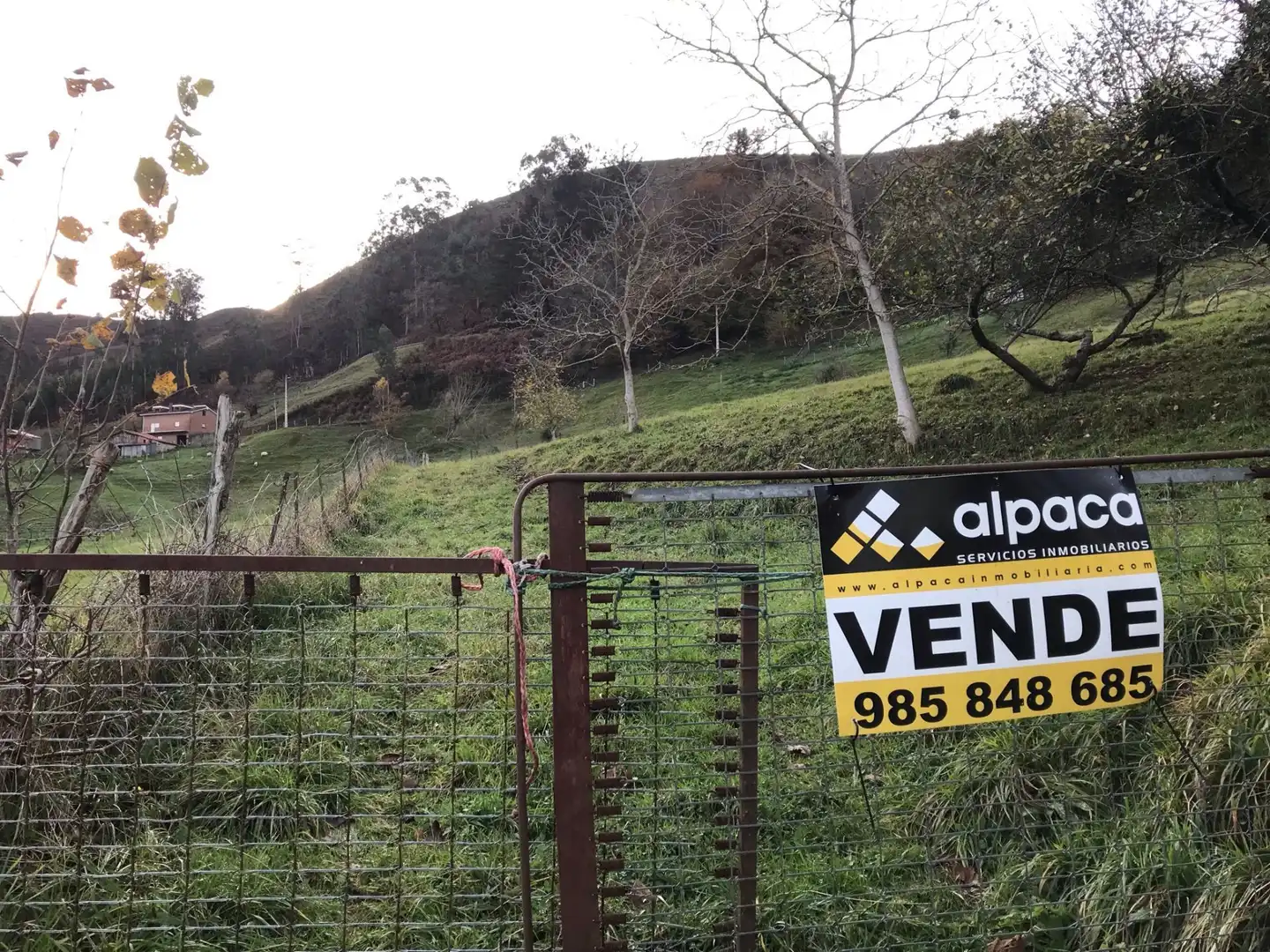 Terreni e lotti in vendita a Cangas de Onís, imagen 18