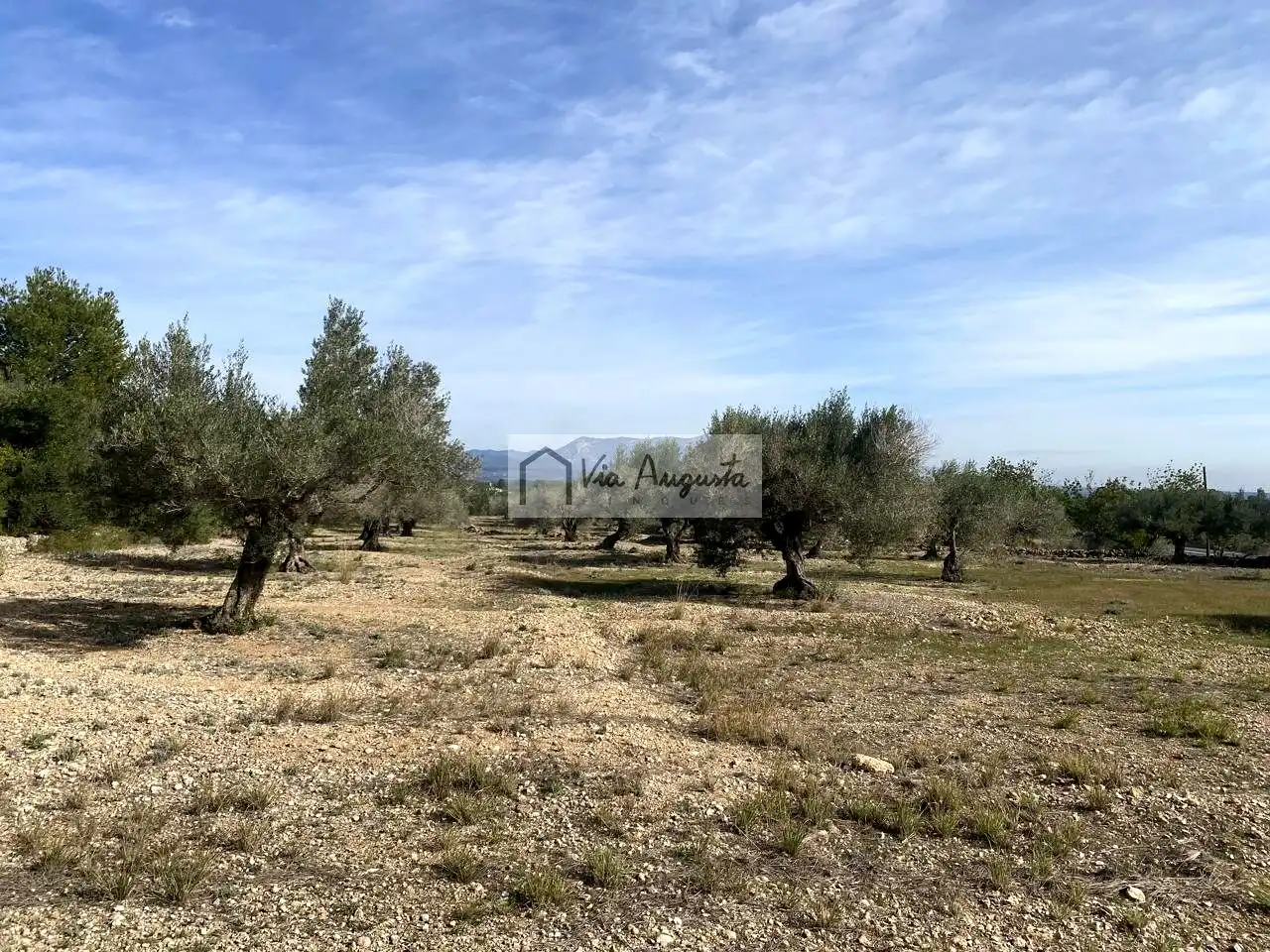 Terreno rustico in vendita a Planas, imagen 26
