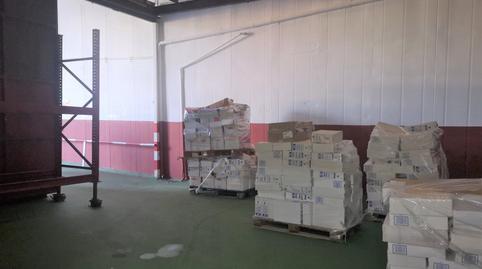 Photo 4 of Industrial buildings to rent in Los Baldíos - Geneto - Guajara, San Cristóbal de la Laguna