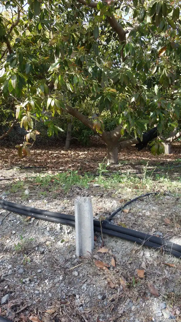 Finca rústica en venda en Molvízar