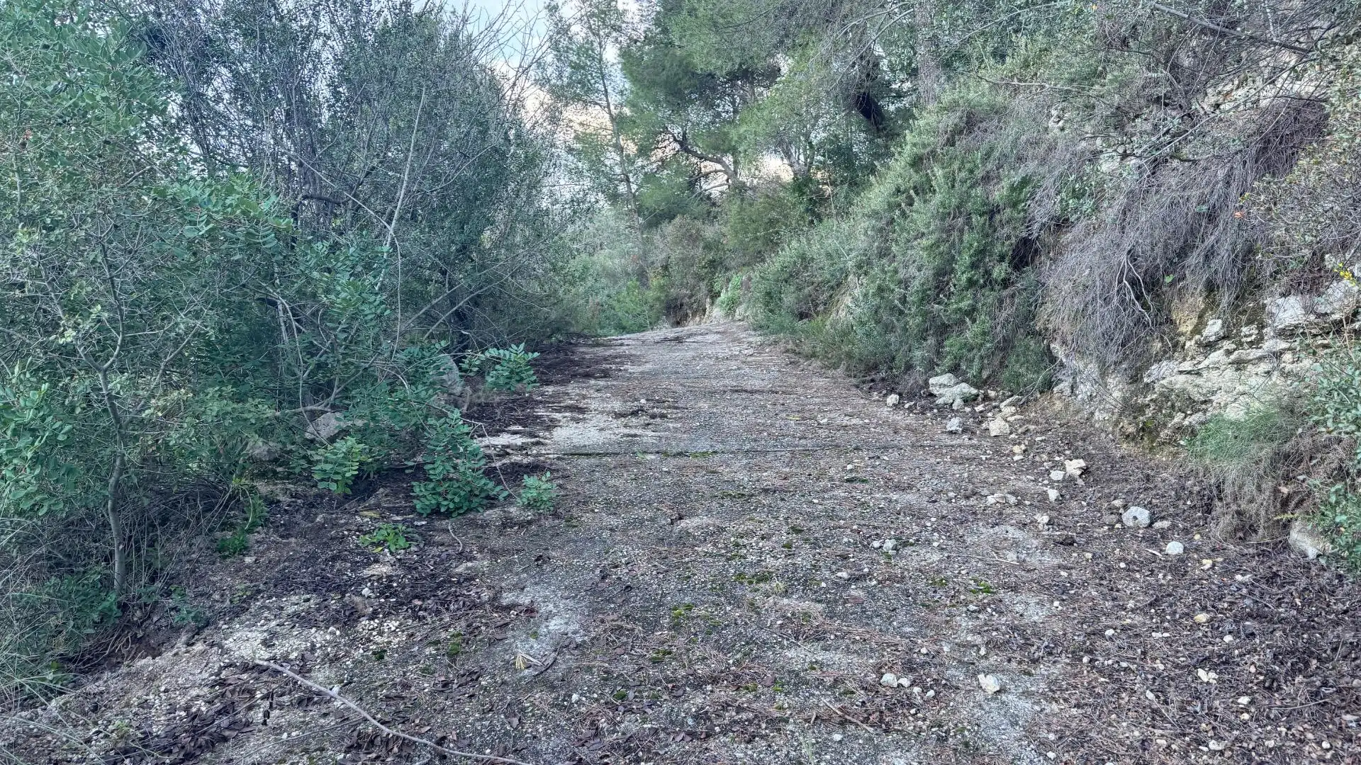 Rural land for sale in Pego, imagen 8