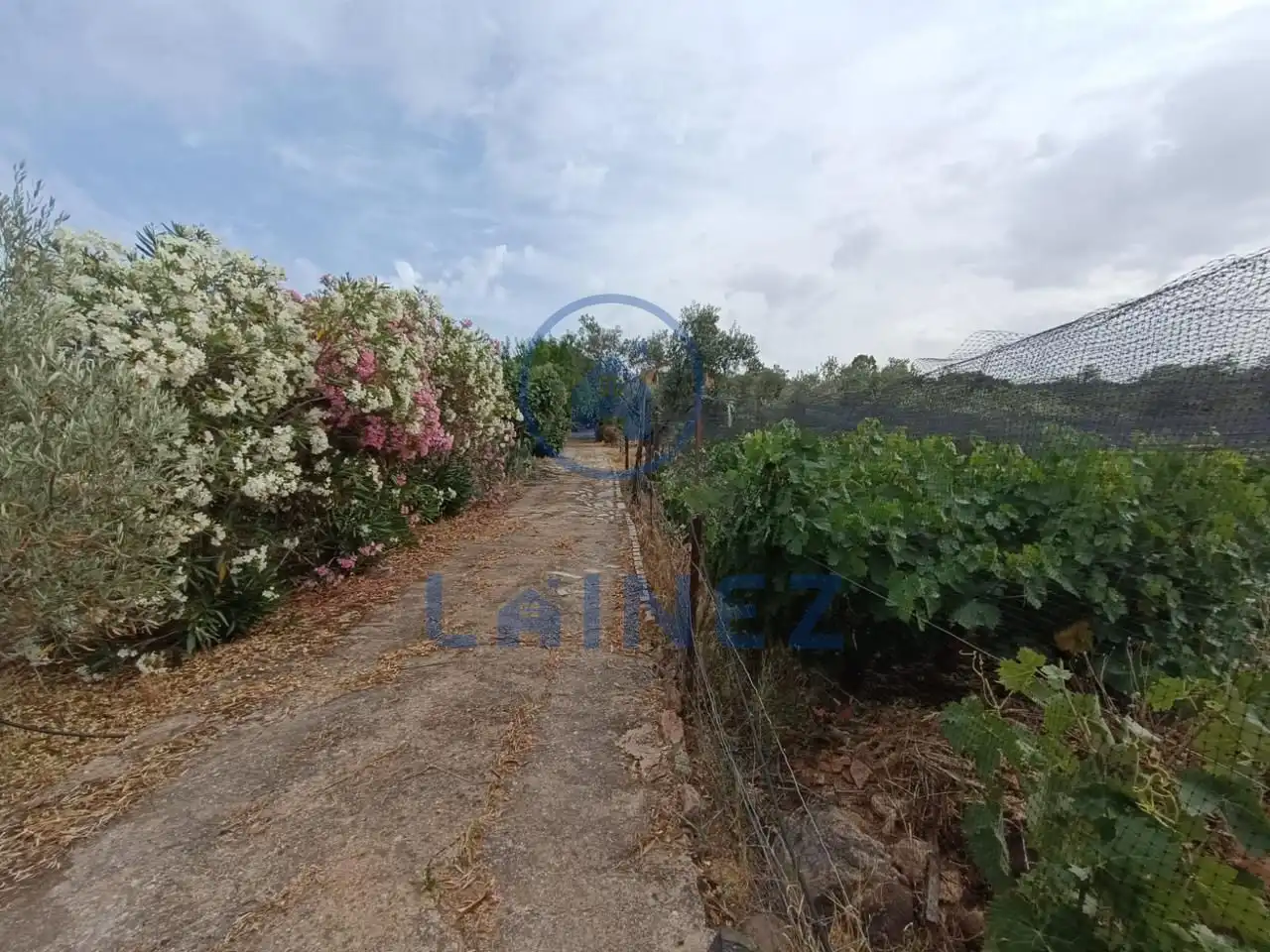 Residencial en venta en La Granjuela